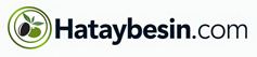 hataybesin.com-Logo